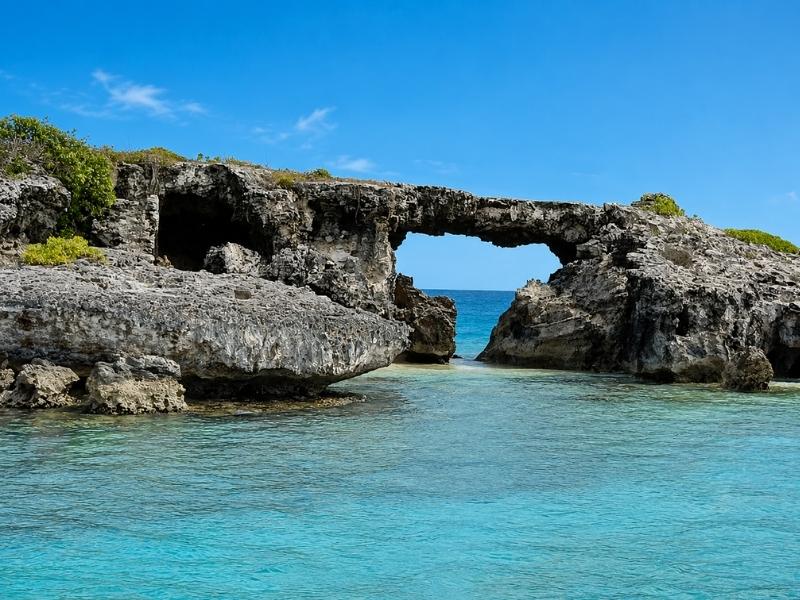 Eli’s Original Eco Adventure Tour in Antigua